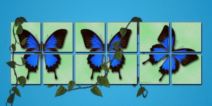 1280x1024 Butterfly Wallpapers Hd: Blue Butterfly Wallpapers Desktop Background