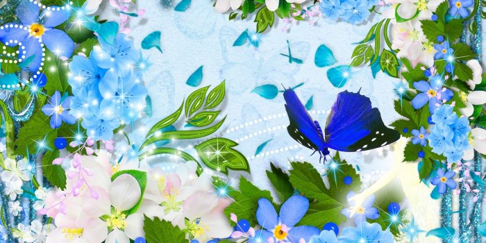 1920x1080 Butterfly Wallpaper HD (77+ pictures)