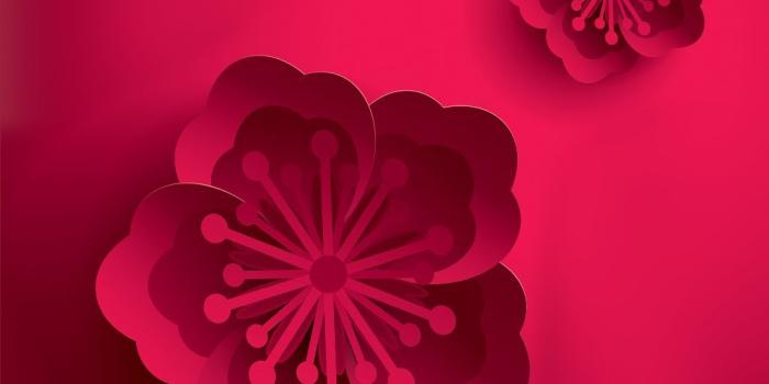 1024x1024 flower #wallpaper #background #vector #4k #hd #red - Chinese Plum