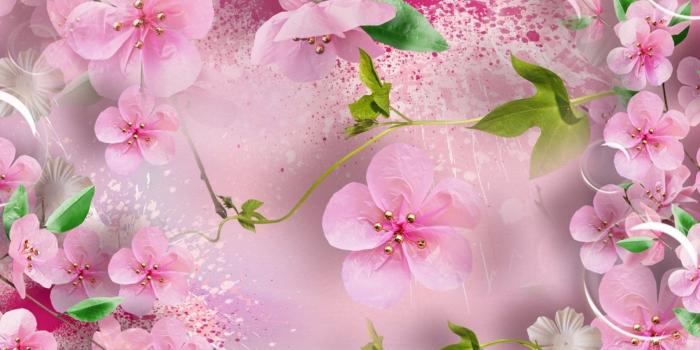 1920x1080 Plum Tag wallpapers: Nature Blossoms Plum Flowers Effulgent