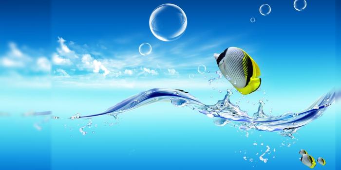 1920x1080 Free Live Wallpapers Desktop #7038854