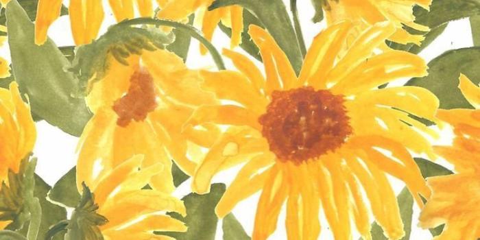 750x1334 5+ Watercolor Sunflower iPhone Wallpapers - Download at WallpaperBro