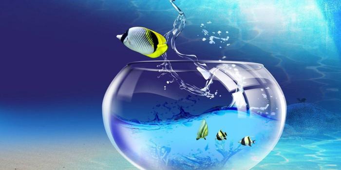 1600x900 Live Wallpapers For Windows 1920×1200 Free Download Live Wallpapers