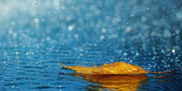 1920x1080 Wallpaper's Collection: «Desktop Wallpapers»