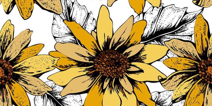 900x900 Yellow Sunflower Cute Wallpapers_hd wallpaper_download free wallpaper