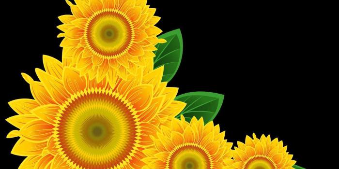 1900x1665 27 Sunflowers Clipart cute Free Clip Art stock illustrations