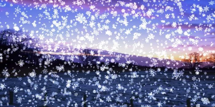 2560x1440 Live Wallpapers for Windows 10, 8.1, 7