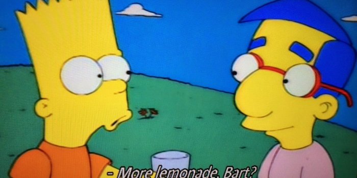 1600x1200 Vundablog.com: #TBT -- Classic Simpsons: 
