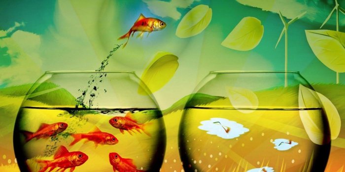 1440x900 Wallpaper boy, laptop, lamp, smart, creative desktop wallpaper 1440x900