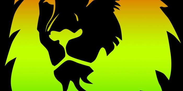 1080x1920 Rasta Lion Wallpapers (30 Wallpapers) – HD Wallpapers | BMW in 2019