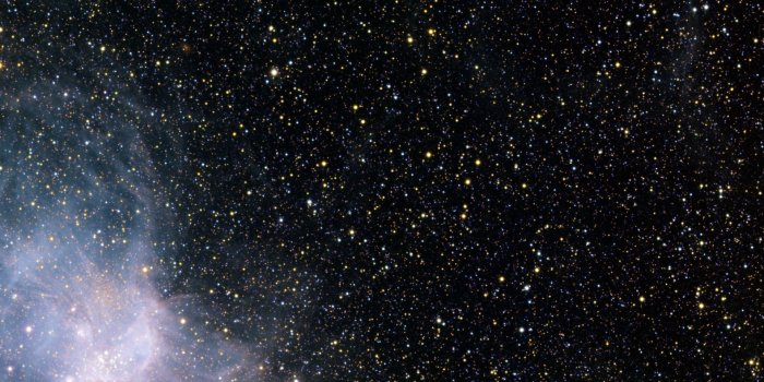 1920x1080 Rasta wallpaper | 1024x768 | #57736