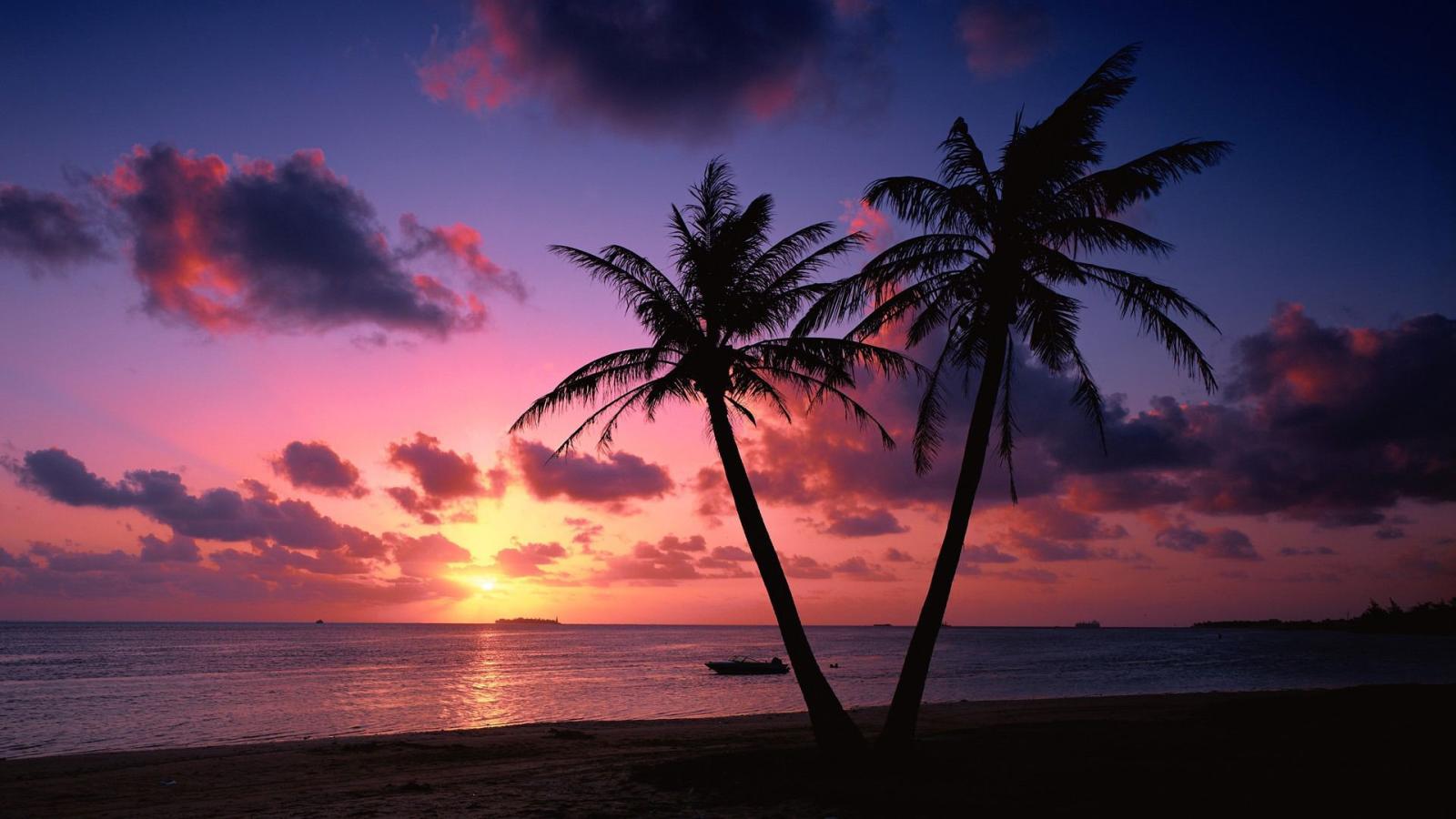 1920x1080 Tropical Beach Sunset wallpaper - 1343376 | Ideas for the House