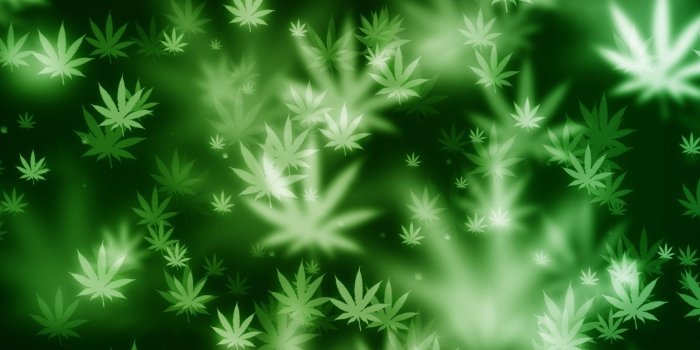 1680x1050 Rasta Wallpapers