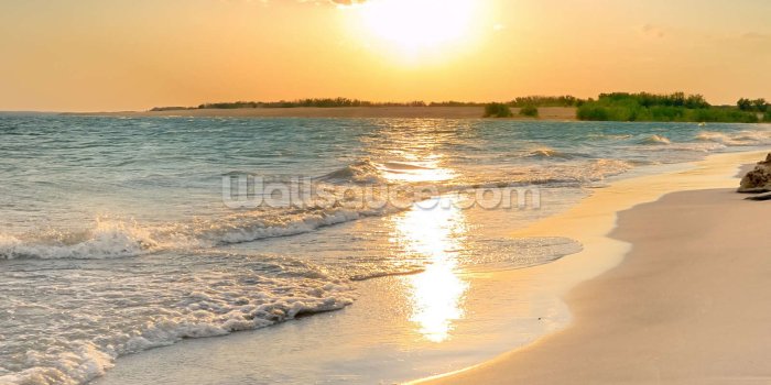 1600x2390 Tranquil Beach Sunset