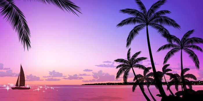 1920x1200 Tropical Beach Sunset Wallpaper #6921159