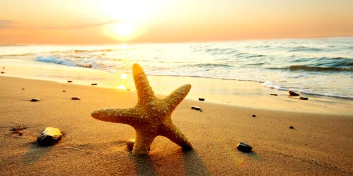 1562x976 Beautiful Beach Sunset Wallpaper | Wallpapers 1080p