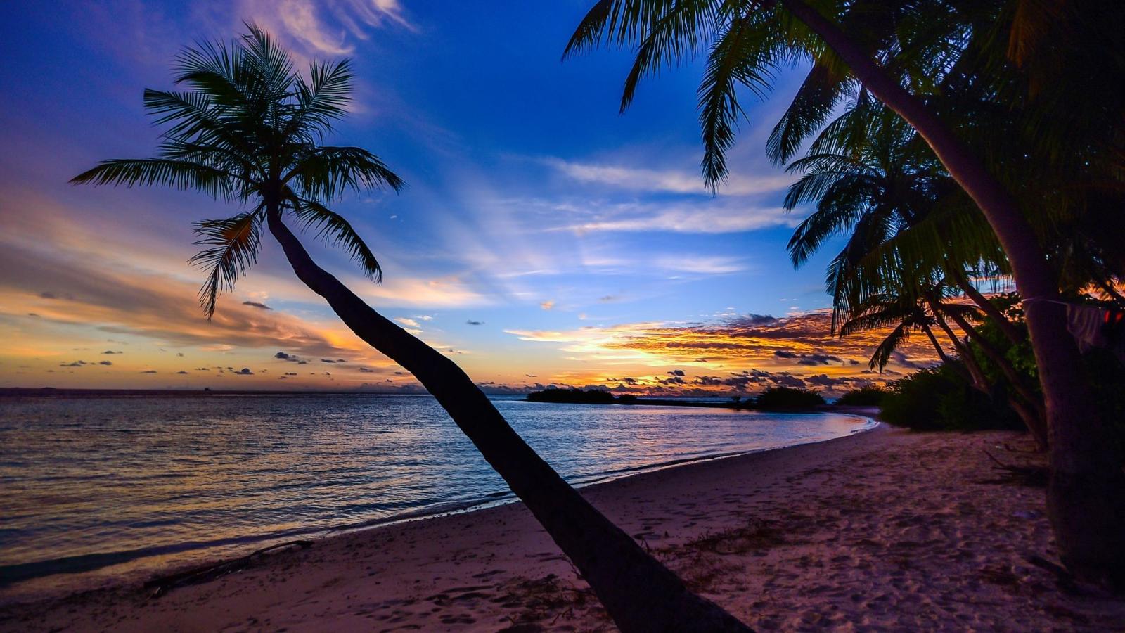 1920x1080 Beach Sunset Desktop Background - Palm Trees Laptop Background