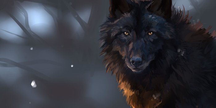 3000x2000 69+ Black Werewolf Wallpapers on WallpaperPlay