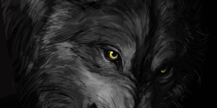 1754x2175 68+ Dark Wolf Wallpapers on WallpaperPlay