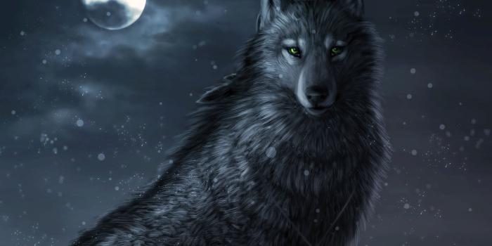 1997x1248 43+] Cool Black Wolf Wallpaper on WallpaperSafari