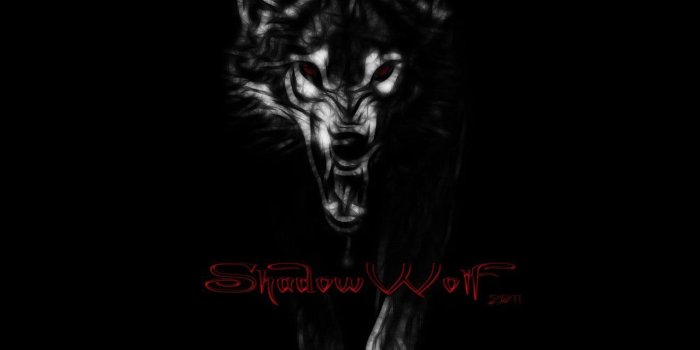 1280x720 55+ Shadow Wolf Wallpapers - Download at WallpaperBro