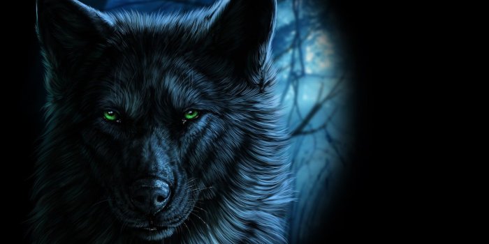 1920x1180 Black wolf wallpaper, animals, fantasy art, wolf, artwork HD