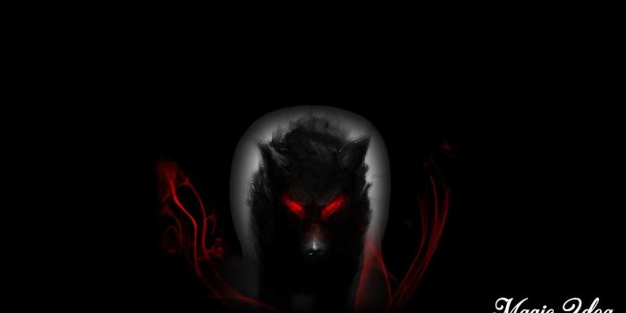 1280x720 Black Wolf Wallpaper for Android - APK Download