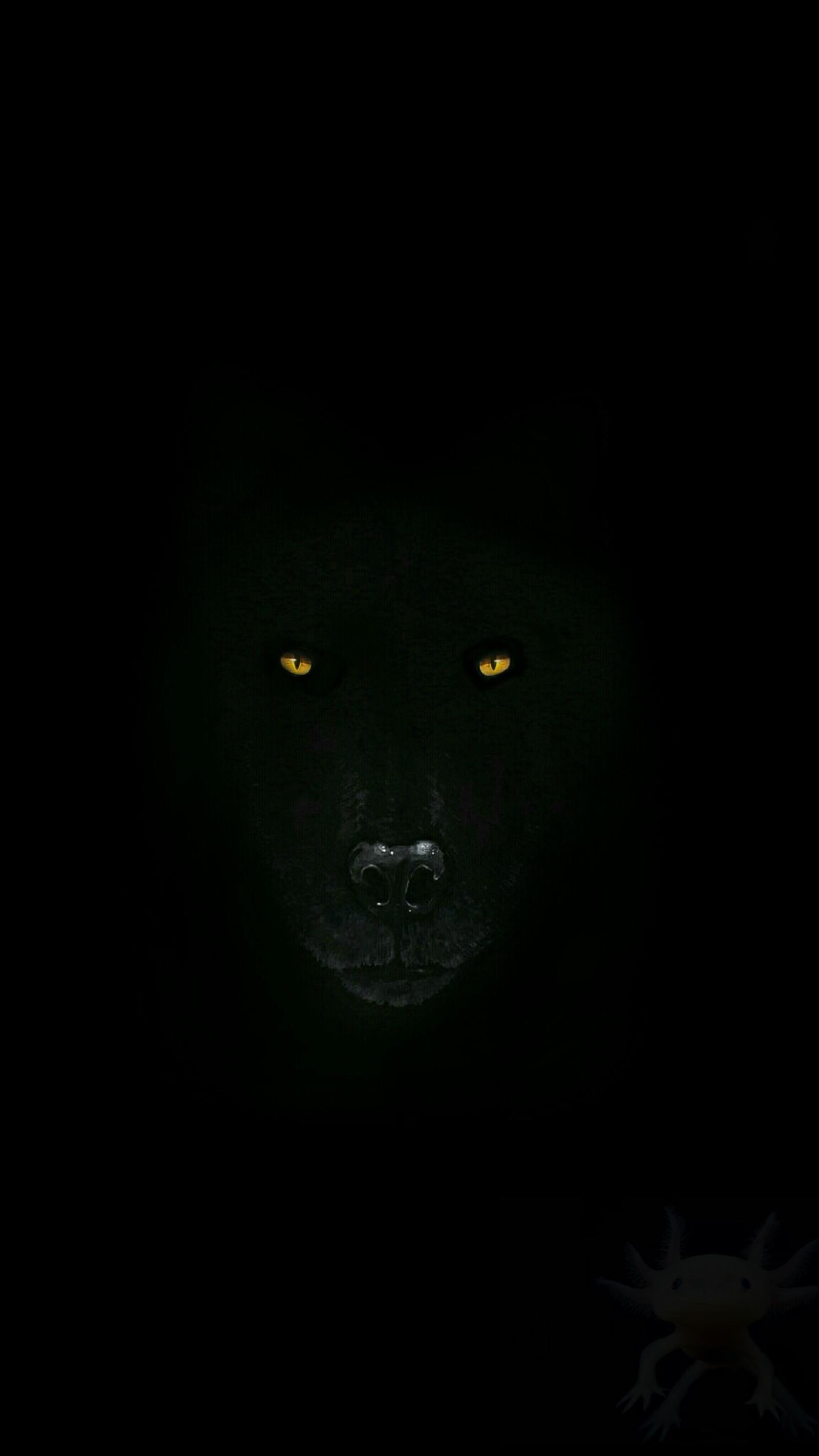 2304x4096 Look at this Wolf wallpaper i made. in 2019 | Jungle Book 2018