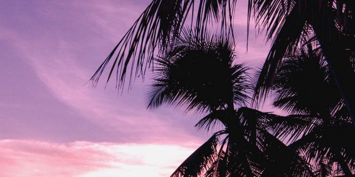 1350x2400 Download wallpaper 1350x2400 palm trees, beach, sunset, tropics