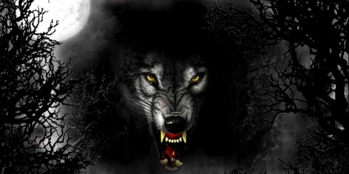 1280x1024 Black Wolf Wallpapers - Top Free Black Wolf Backgrounds