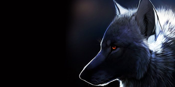 1920x1080 Black wolf wallpapers Gallery