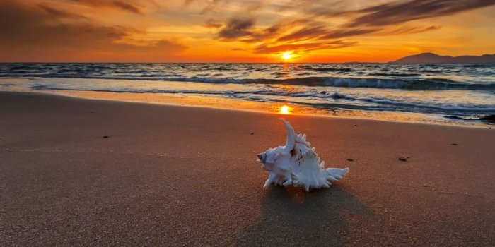 1024x768 Beach Sunset Wallpaper Background > Minionswallpaper