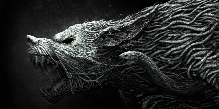 2560x1440 Dark Wolf Wallpapers