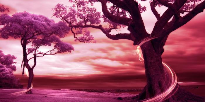 1920x1080 Romantic Scenes Wallpapers - Top Free Romantic Scenes Backgrounds