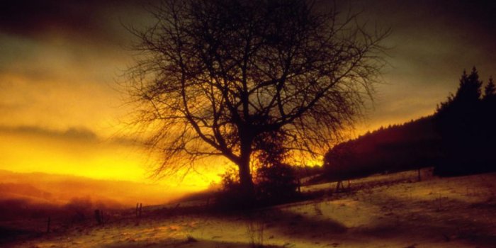 1024x768 Good Wallpapers