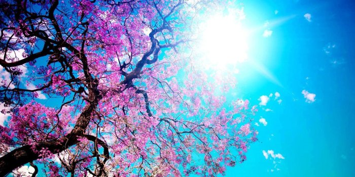 1920x1080 Good Wallpapers - Top Free Good Backgrounds - WallpaperAccess