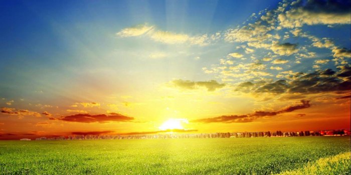1440x900 Good Morning Wallpaper for Android - APK Download
