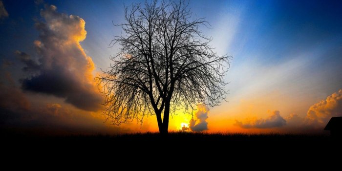 1600x1280 download good wallpapers Gallery (72+ images)