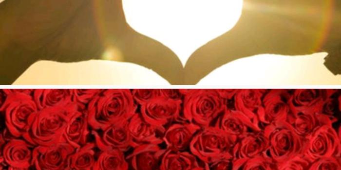 1080x1920 Best Romantic Photo Wallpaper HD for Android - APK Download