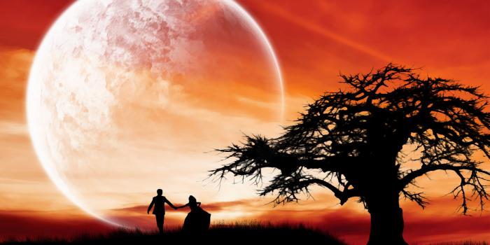 1920x1200 best romantic wallpaper - Tag | Download HD Wallpaperhd wallpapers