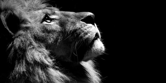 1600x1200 Good Wallpapers Best Wallpaper Collection 1600x1200