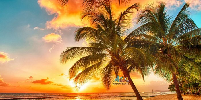 1920x1200 Nature Wallpaper Full HD Gallery Images Photo Free Download