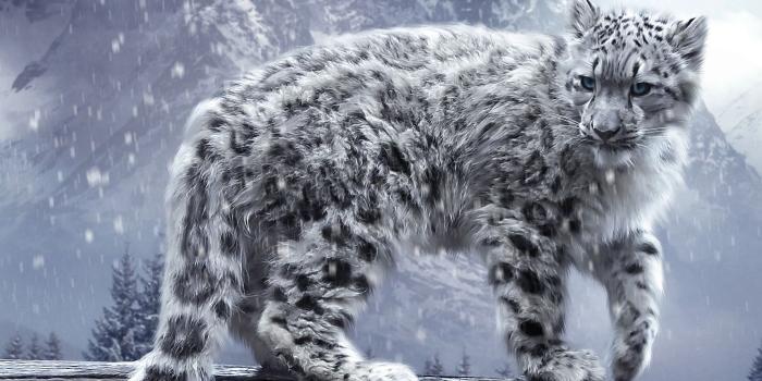 1920x1200 Cool Animal Desktop Backgrounds HD Wallpaper, Background Images