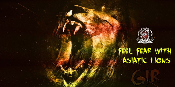 2560x1440 Gir National Park – The Majestic Home of the Royal King – Royal