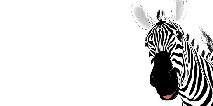 1920x1200 Animal Drawing Wallpaper at GetDrawings.com | Free for personal use