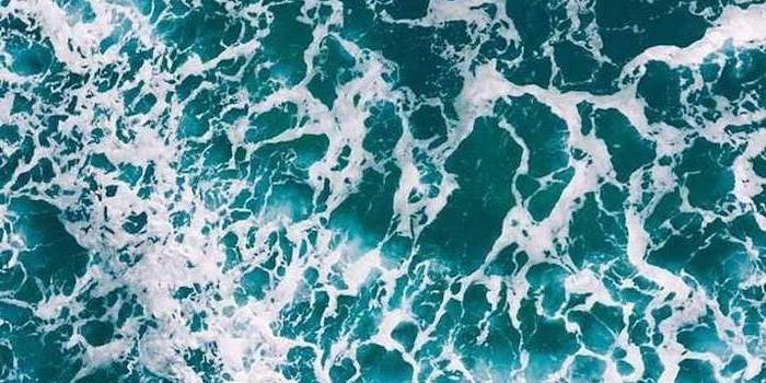 700x1244 ▷ 1001 + ideas for cute wallpapers that bring the summer vibe