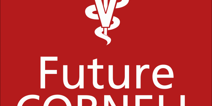 3600x5761 Future Vet Wallpapers | Cornell University College of Veterinary