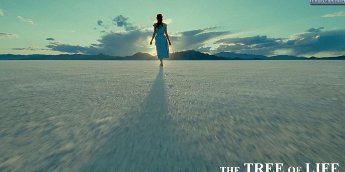 1920x1080 The Tree Of Life I Am Alone HD Wallpaper