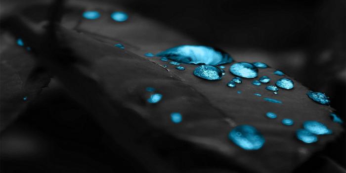 3840x2160 3840x2160 Black Leaf VX9.0 ❤ 4K HD Desktop Wallpaper for 4K Ultra