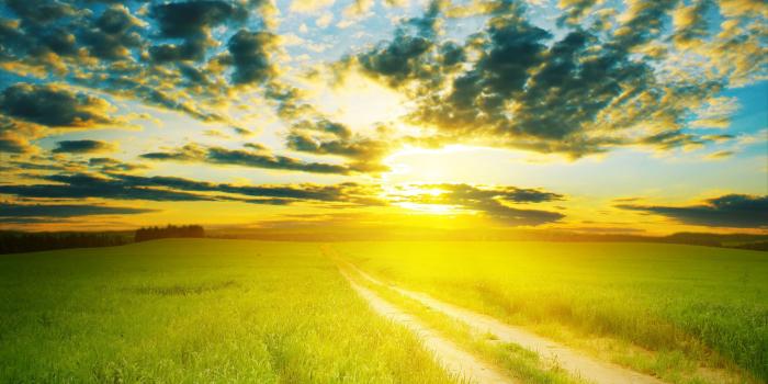 2560x1600 Yellow Sunshine ❤ 4K HD Desktop Wallpaper for 4K Ultra HD TV • Dual